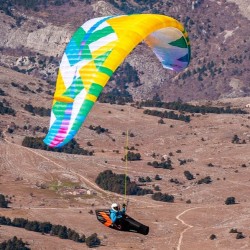 BGD Breeze