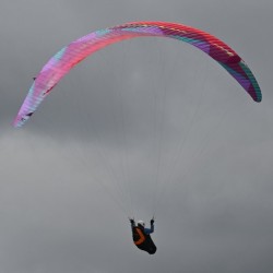 BGD Cure 3