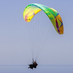BGD Dual 3