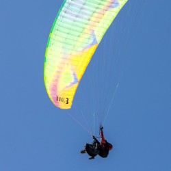 BGD Dual 3