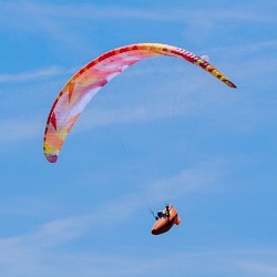 BGD Tigra